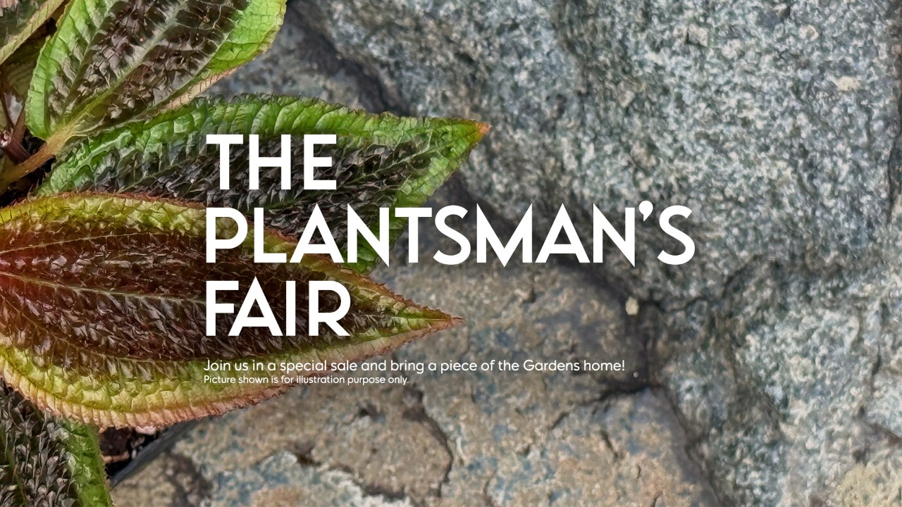 The Plantsman Fair