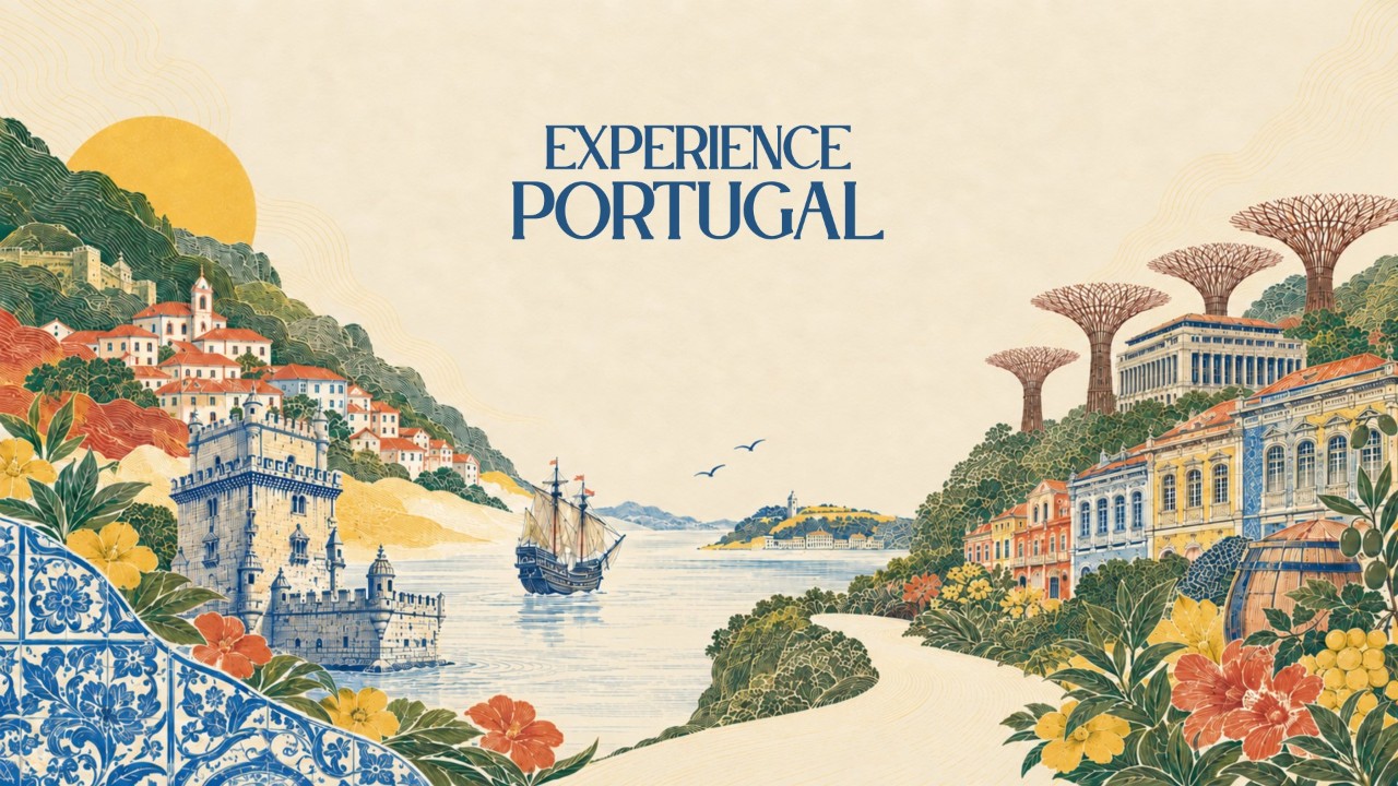 Portuguese Programmes