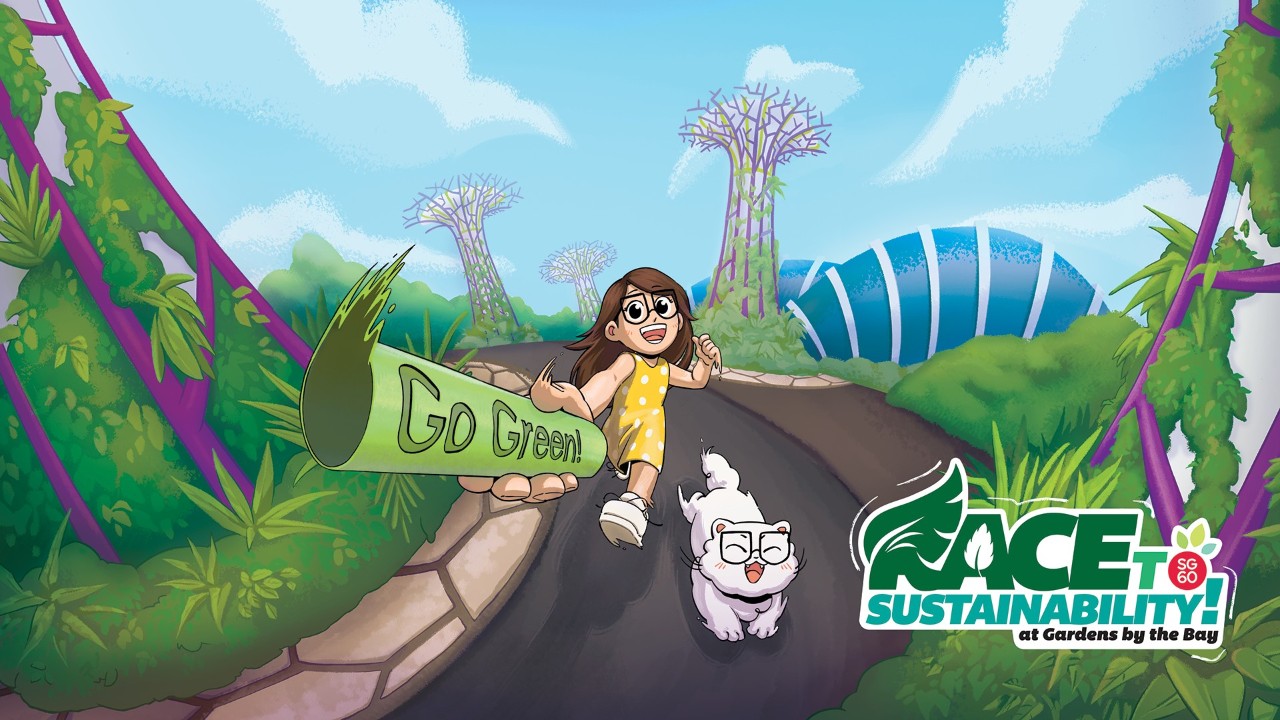 Race to Sustainability! 2024