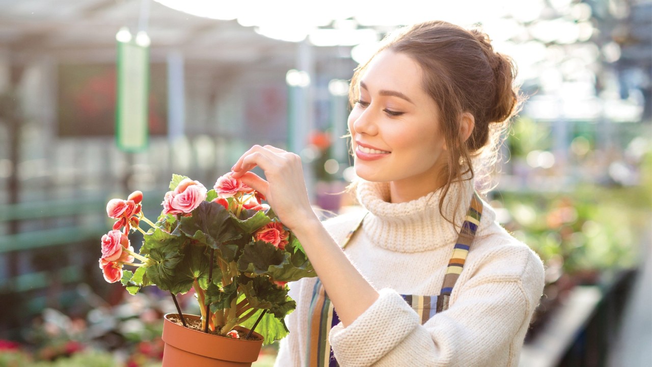 Sensory Moments - Alpine Adventure Starring Begonias