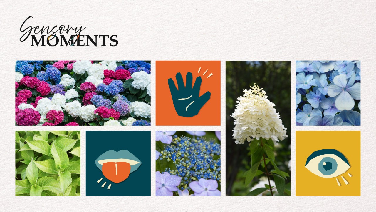 Sensory Moments - Spring Blossoms