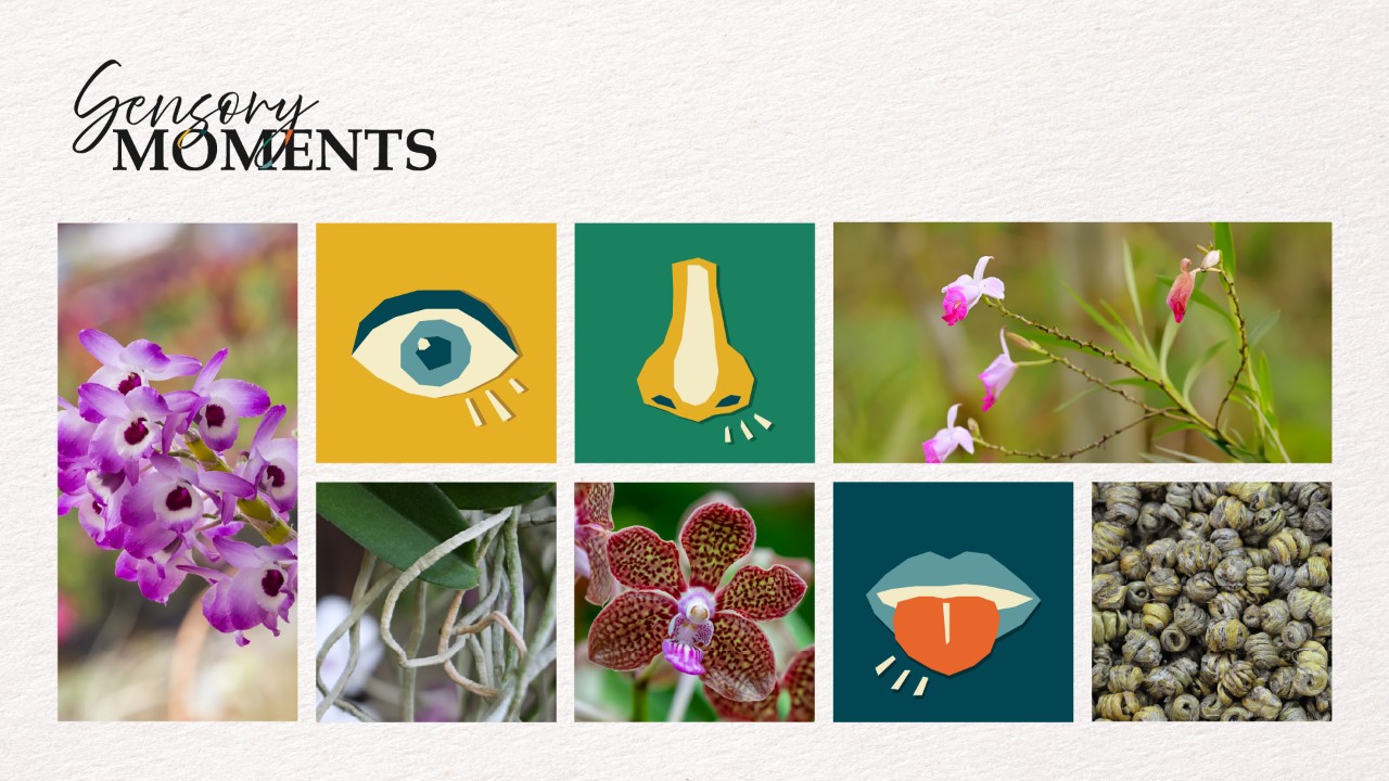 Sensory Moments - Spring Blossoms