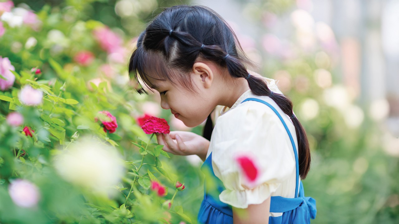 Sensory Moments - Lilytopia