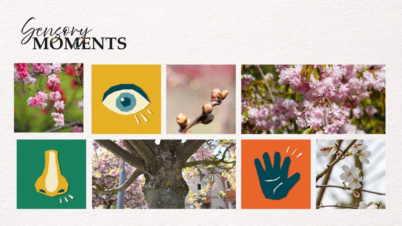 Sensory Moments - Spring Blossoms