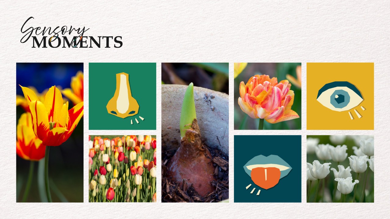 Sensory Moments - Spring Blossoms