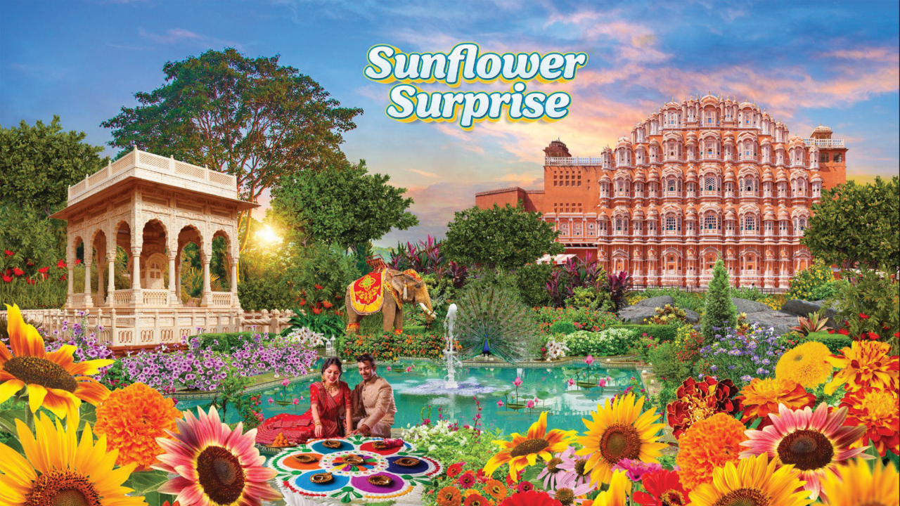 Sunflower Surprise 2025