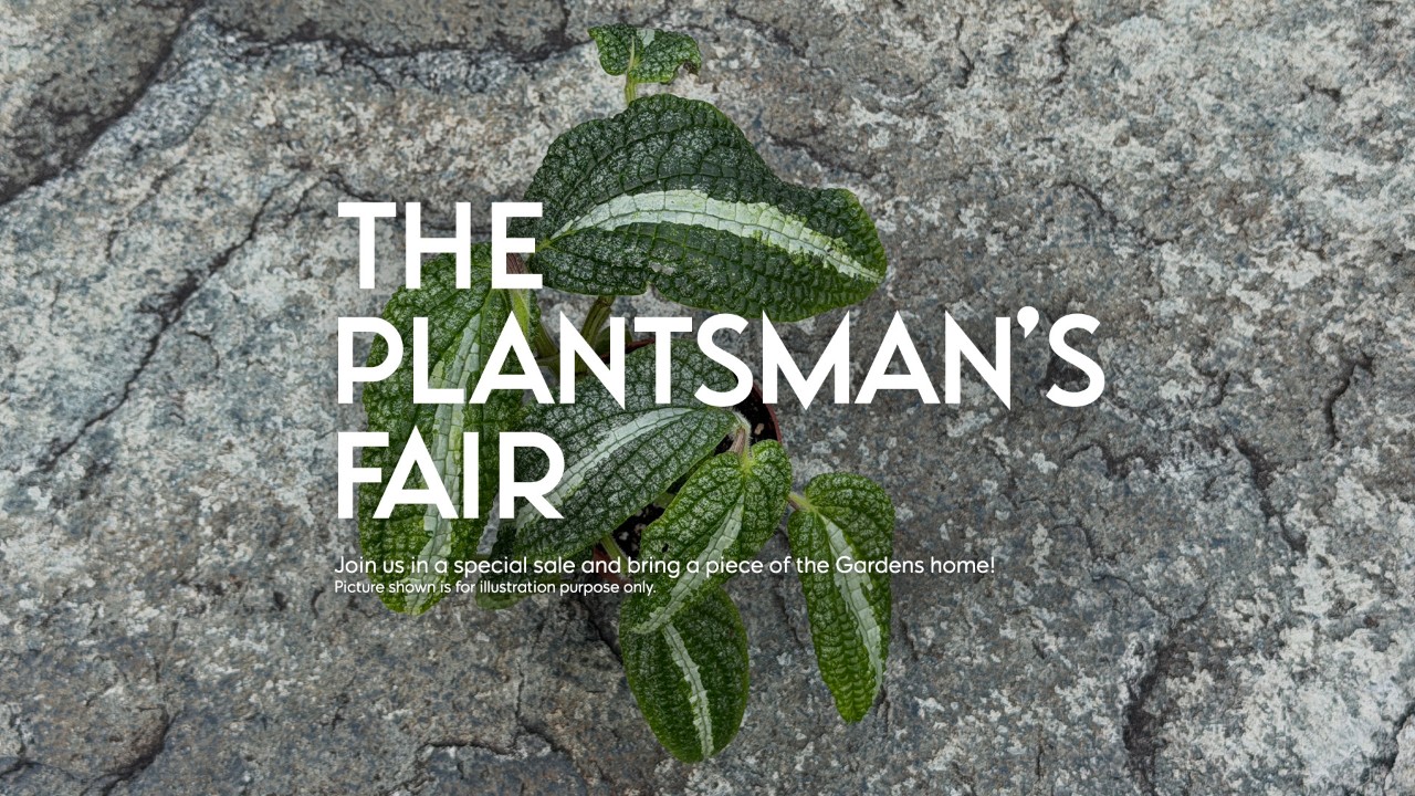 The Plantman's Fair