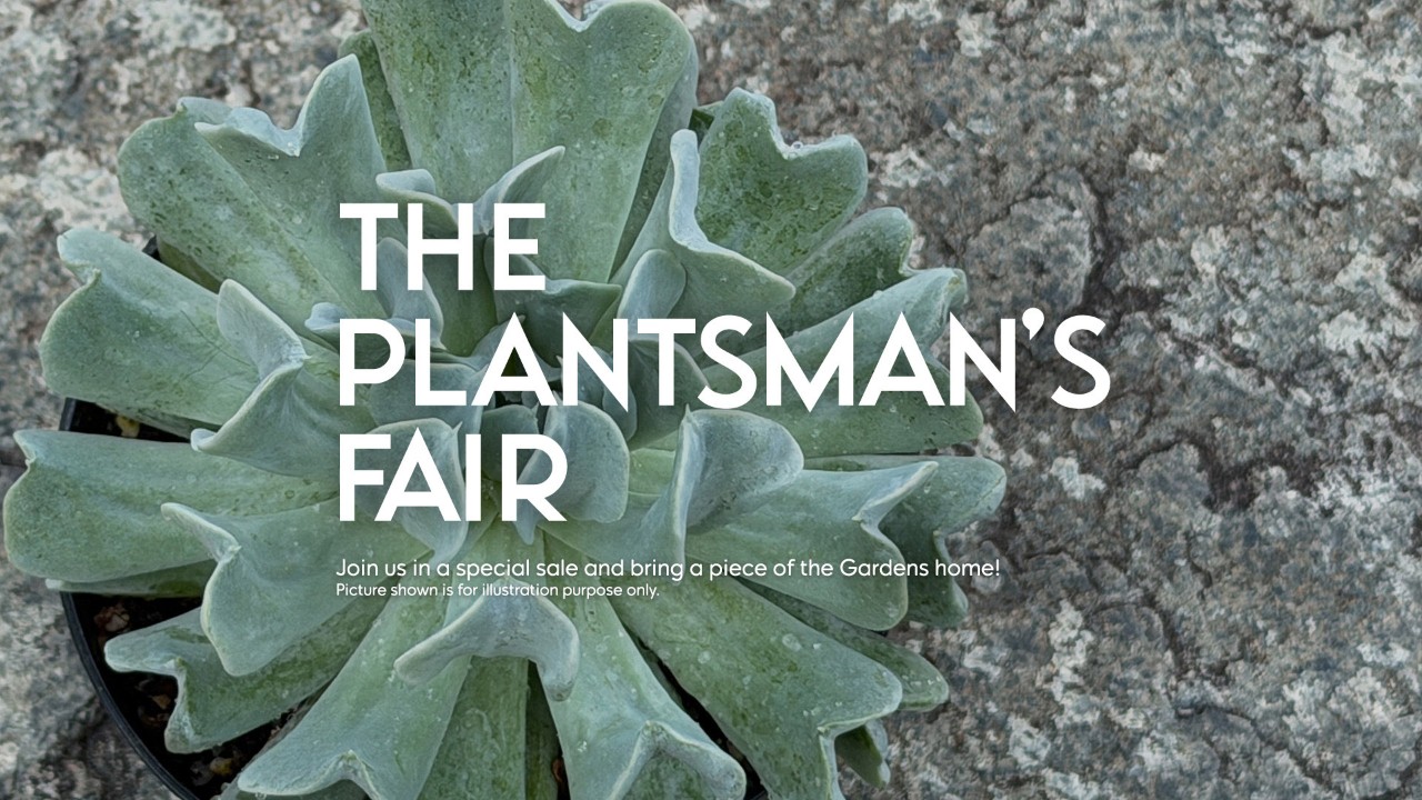 The Plantman's Fair