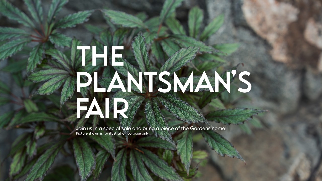 The Plantman's Fair