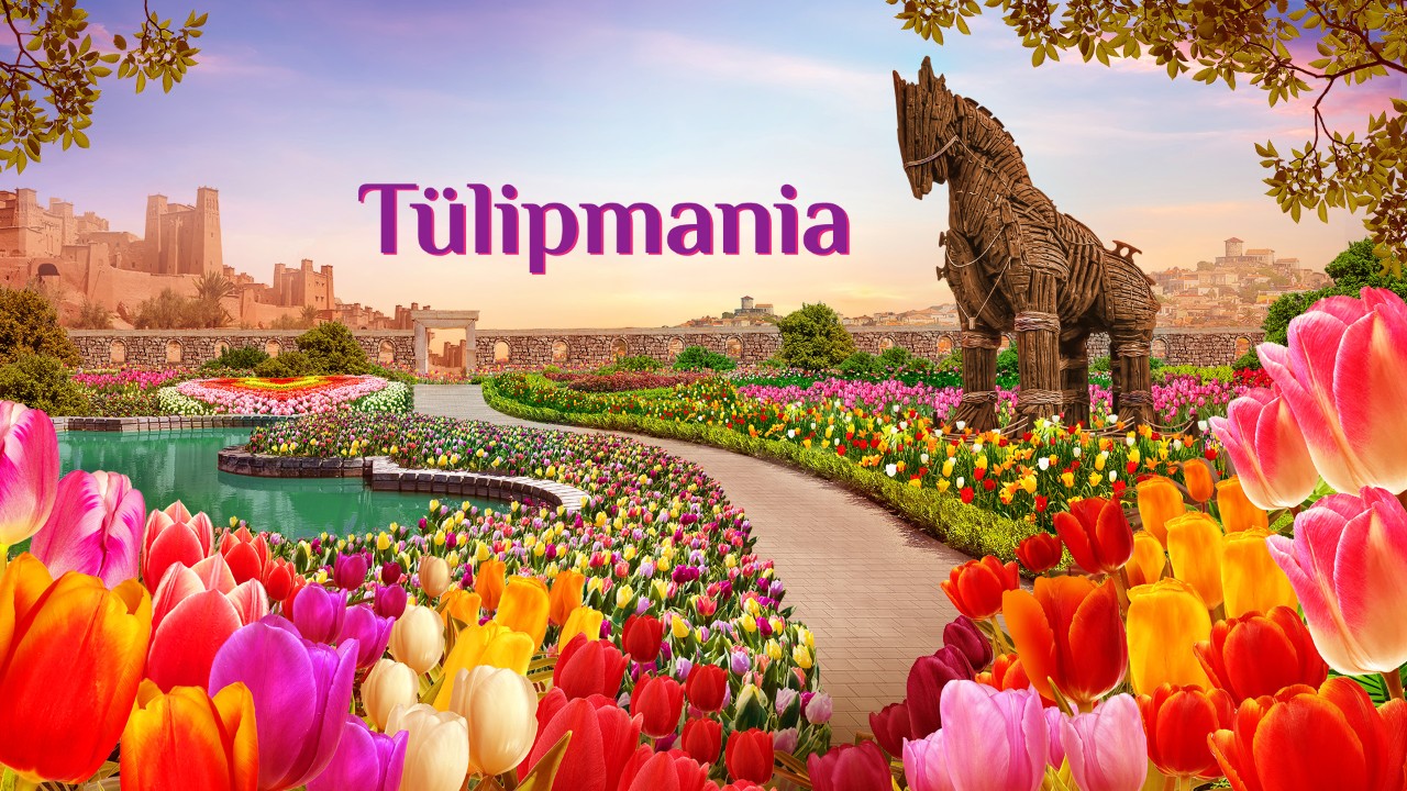 Tulipmania 2025