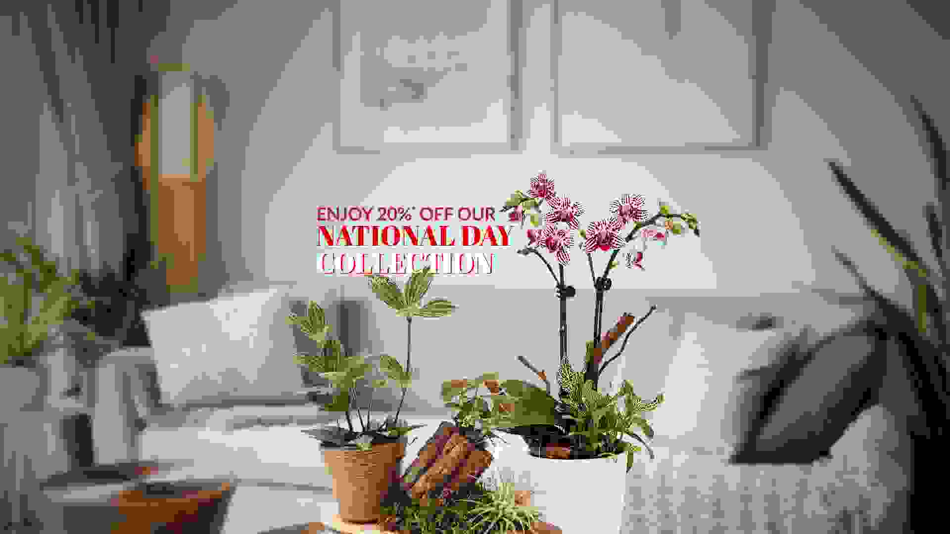 Beautify your home this National Day