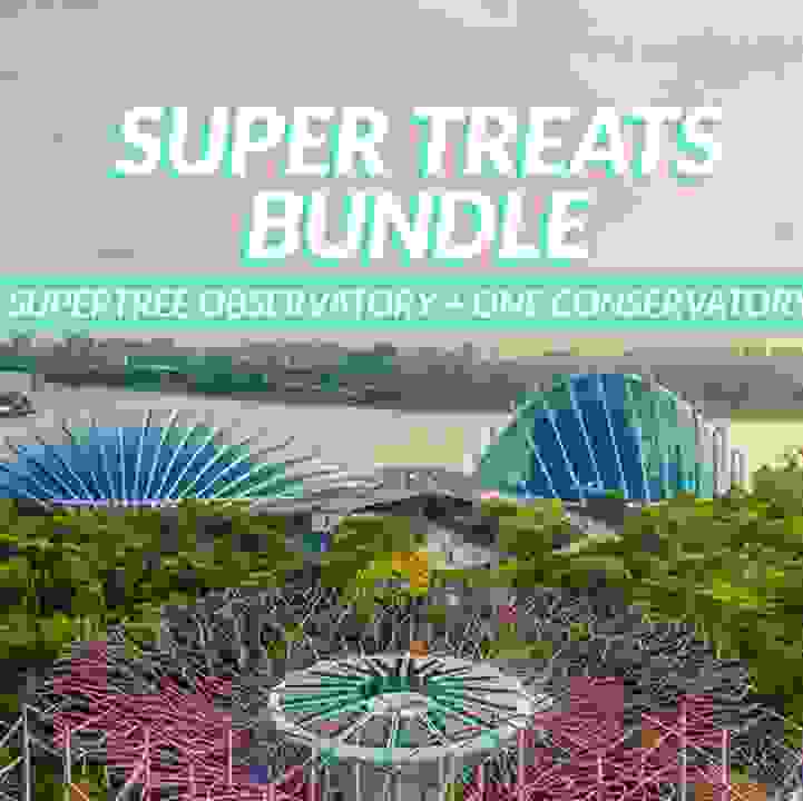 Super Treats Bundle